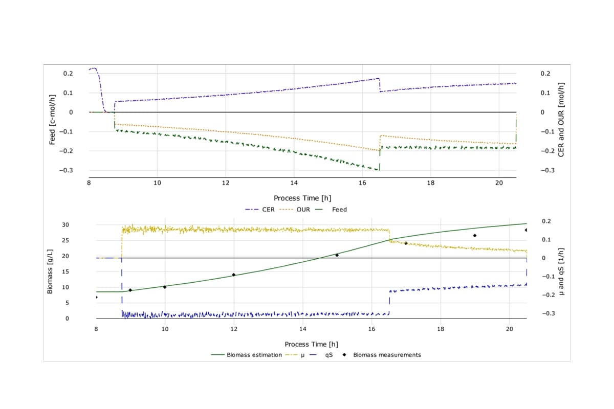 Performance metrics and biomass prediction of the soft sensor during the fed-batch phase.