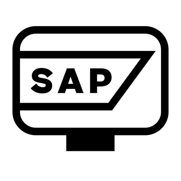 SAP consulting icon