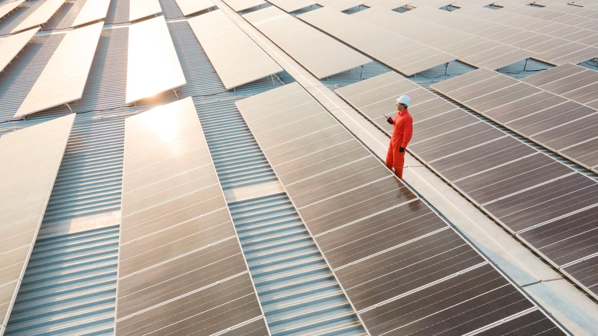 Man standing in a solar panel field