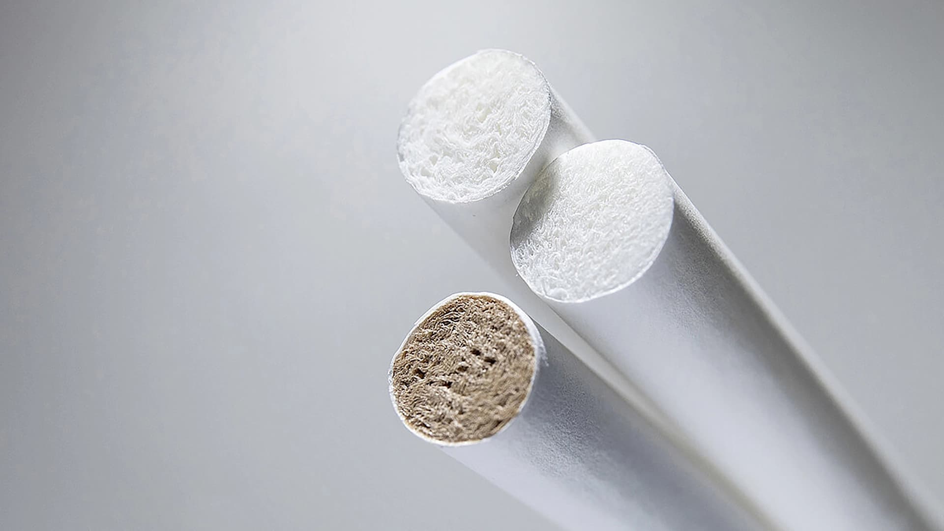 Biodegradable cigarette filters