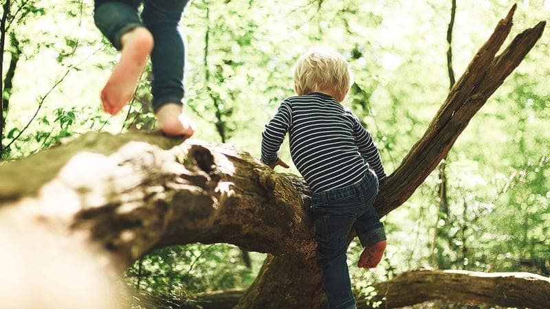 A child playing in a forest saved by sustainability actions.