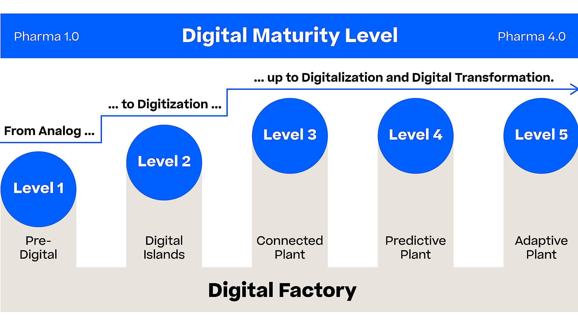 GRAPHIC OF DIGITAL MATURITY LEVEL