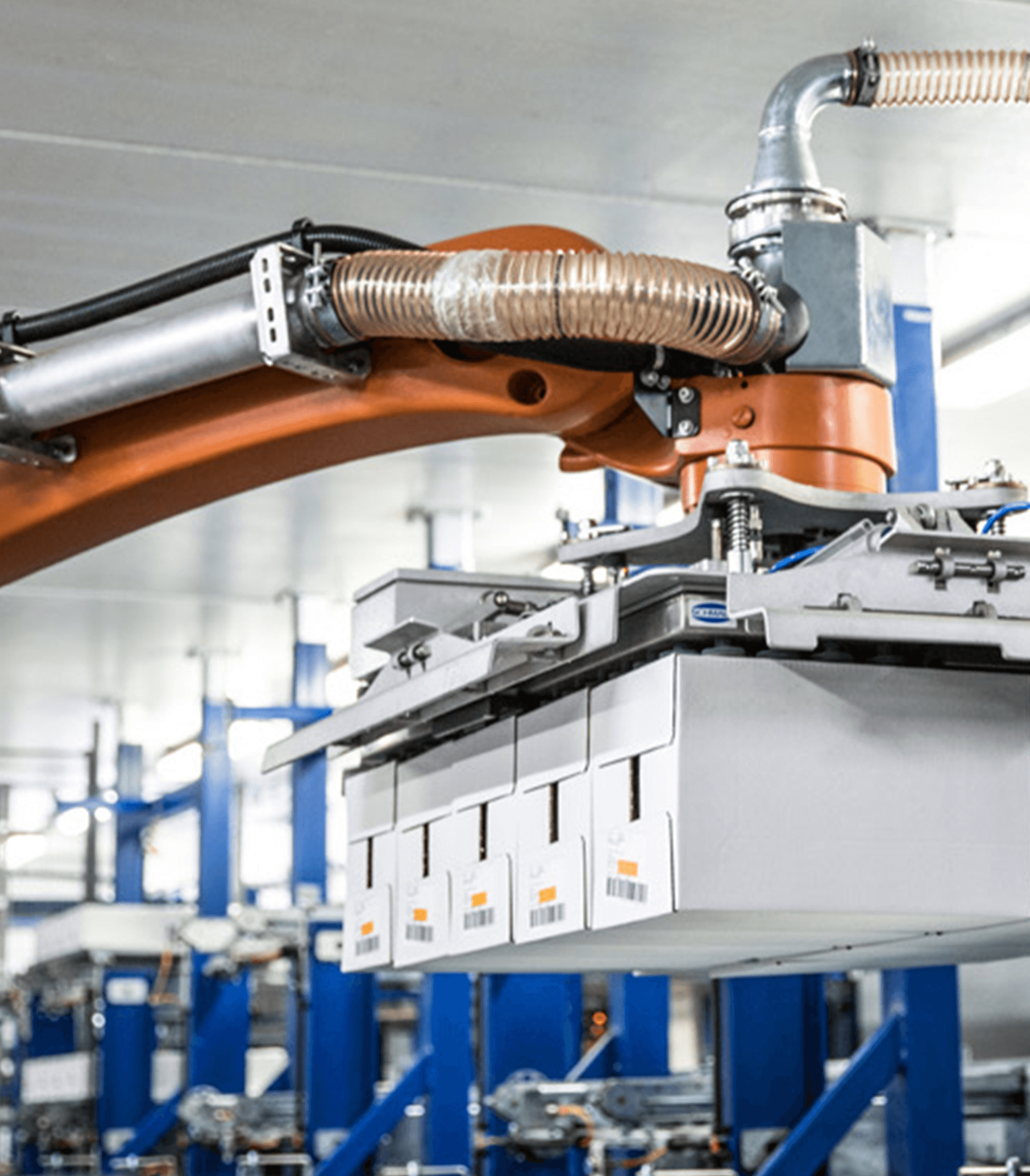 Automated end-of-line solution for Fatland